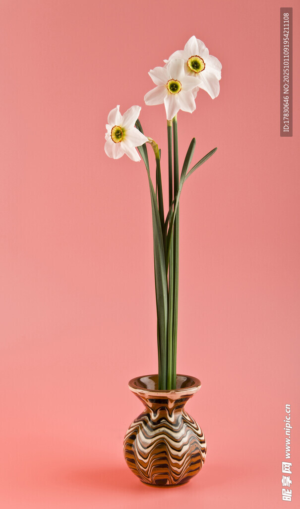 水仙花
