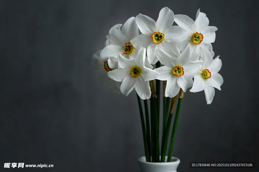 水仙花
