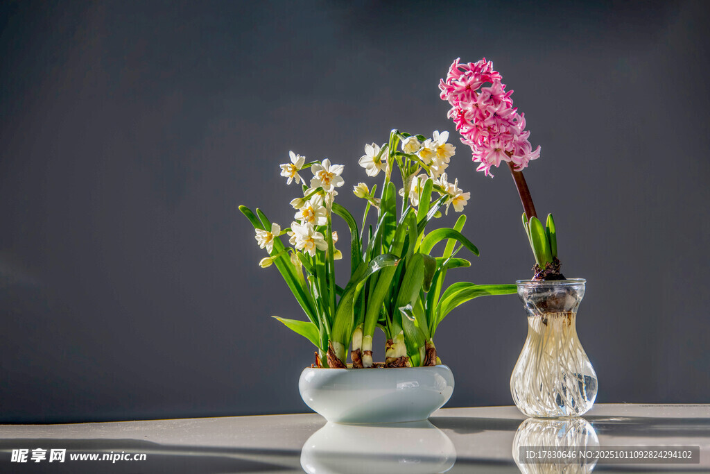 水仙花