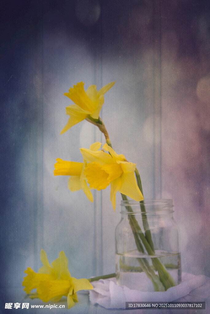 水仙花