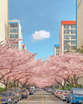 櫻花盛開(kāi)的城市街道