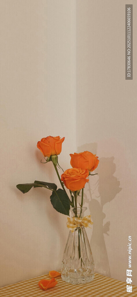 花瓶中的橙色嬌艷花朵