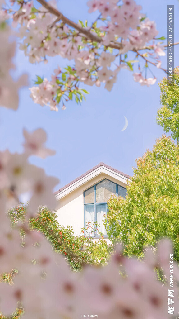 櫻花掩映下的溫馨小屋