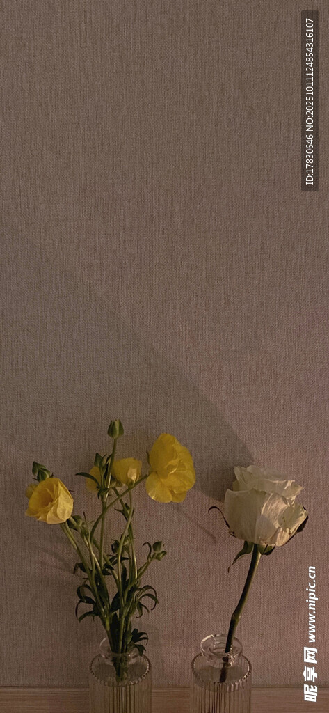 花瓶中的幾支多彩鮮花