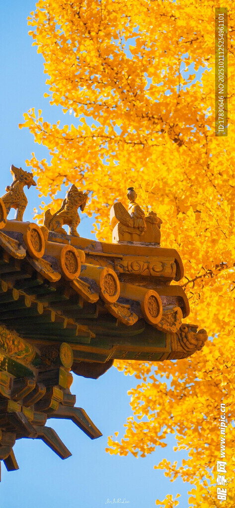秋日古建筑屋檐與金黃樹葉