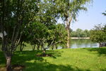 公園風(fēng)景  