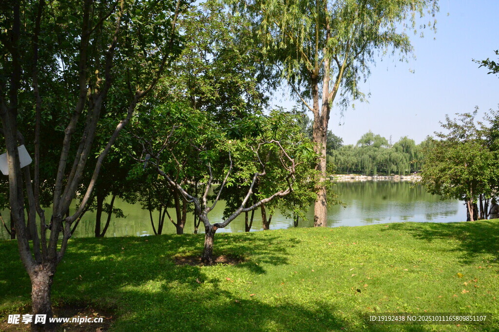 公園風(fēng)景  