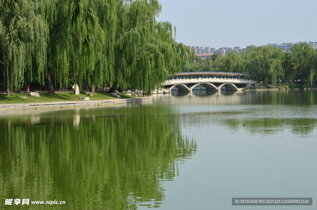 公園風(fēng)景  