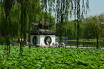 公園風(fēng)景  