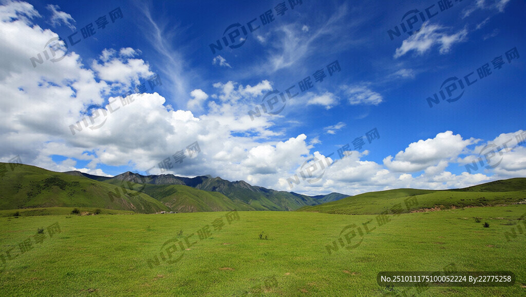 底圖草坪 大涼山特色