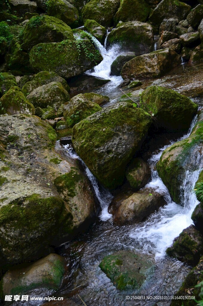山間青苔溪流美景