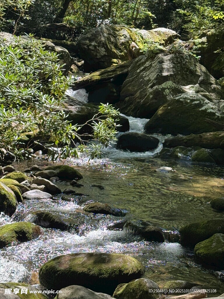 山間溪流 自然野趣之景