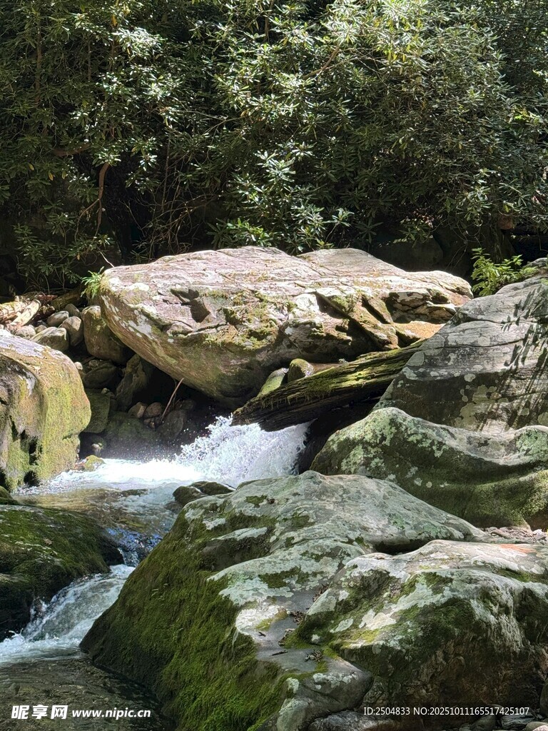 山間溪流繞石景