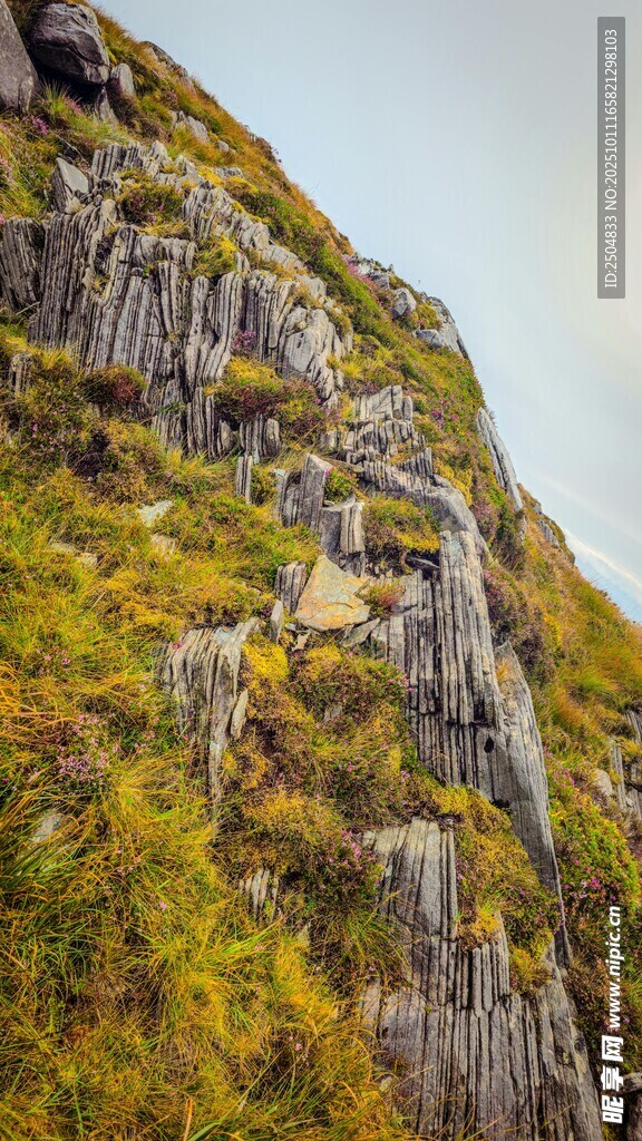 陡峭山崖上的斑斕植被