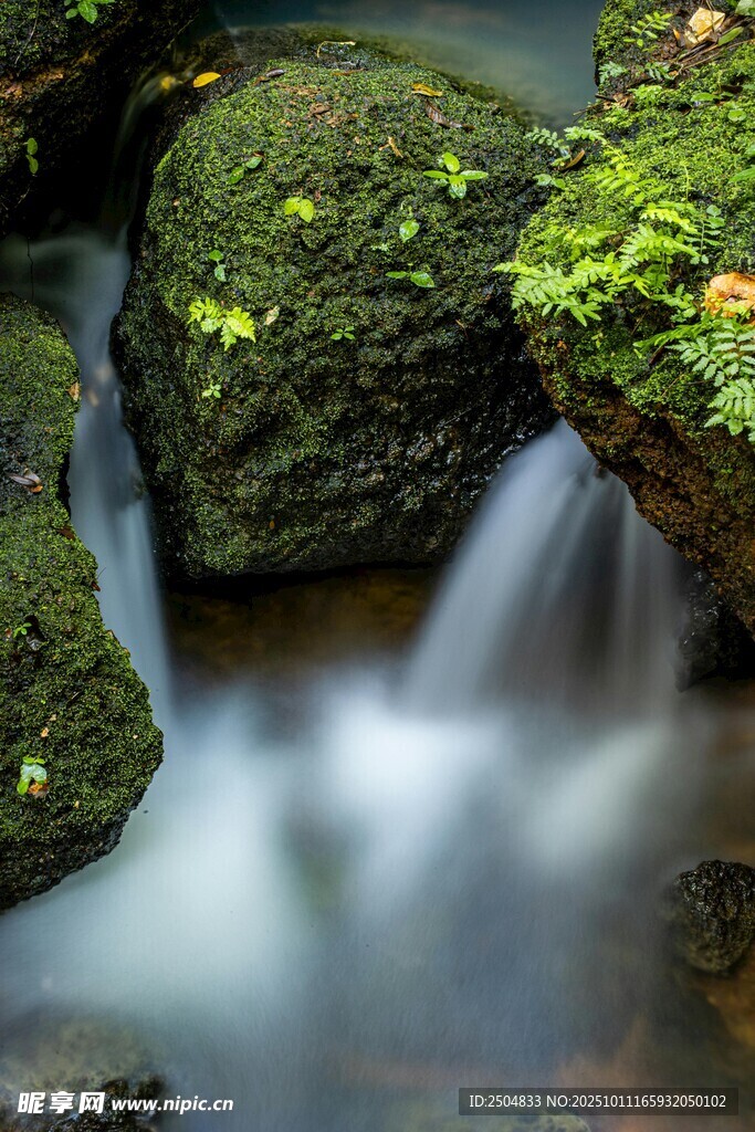 山間青苔覆石的潺潺溪流