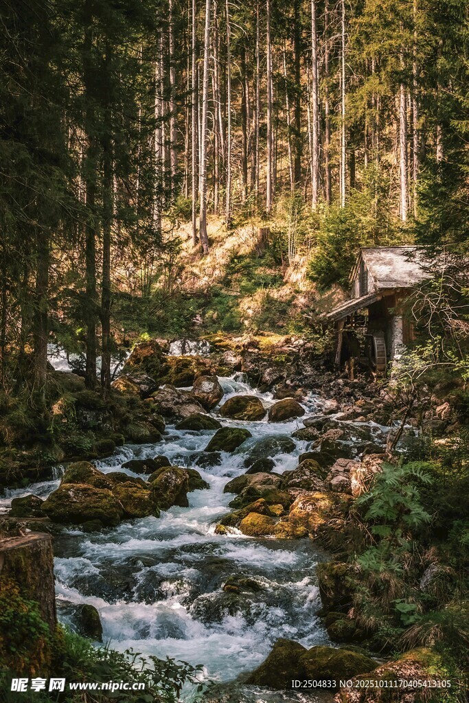 林間溪流美景