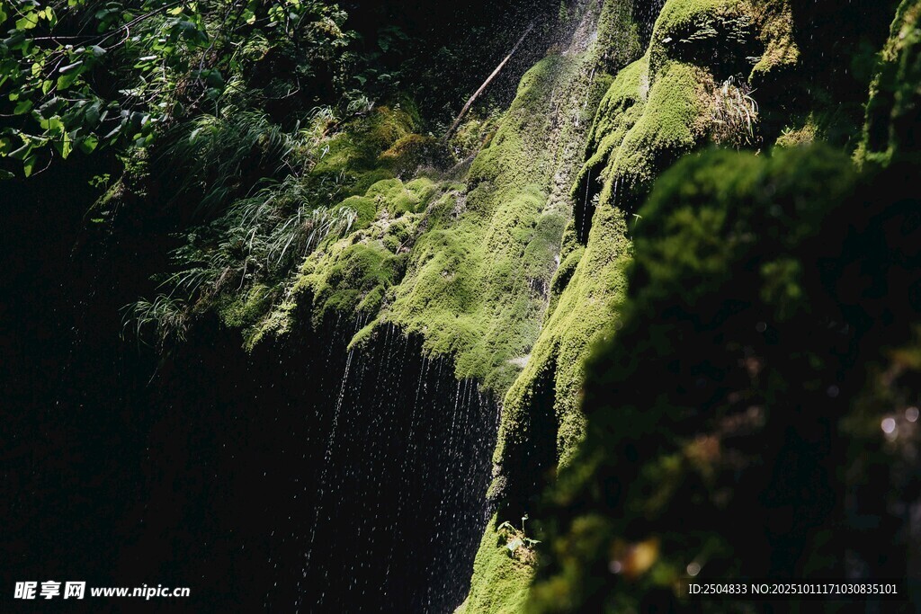 山間瀑布下的翠綠植被
