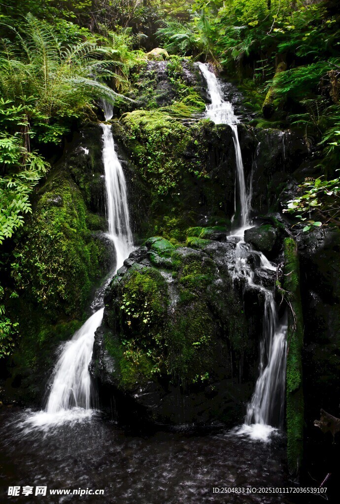 山間小瀑布 綠意盎然之景