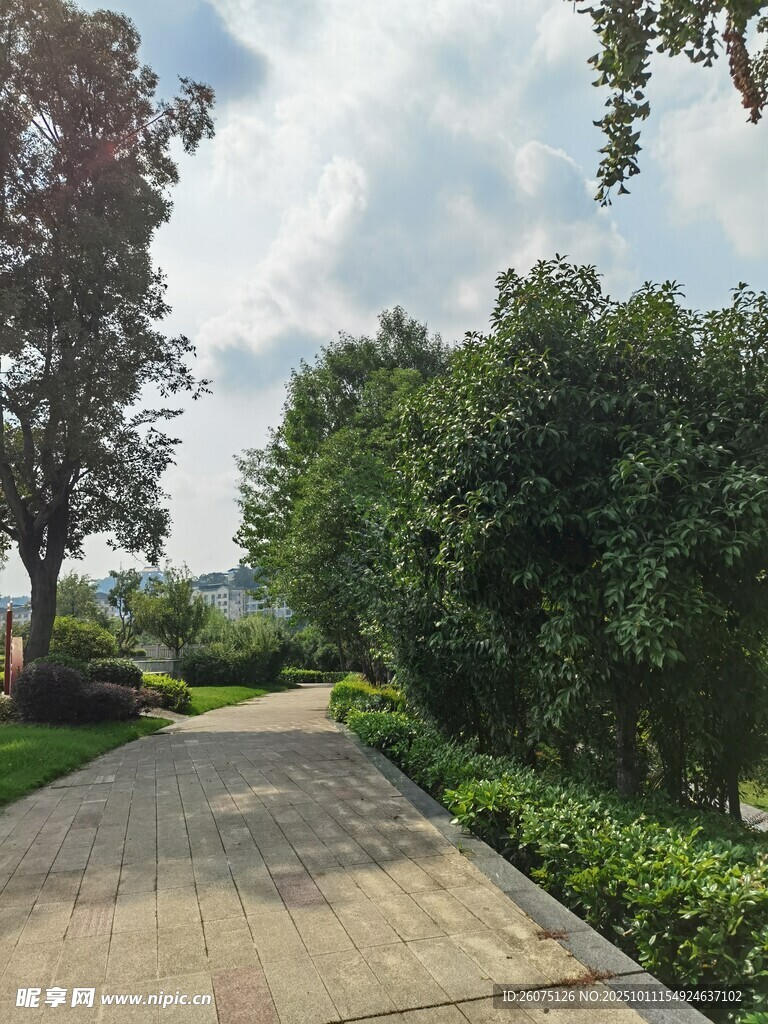 林間漫步小道綠意盎然