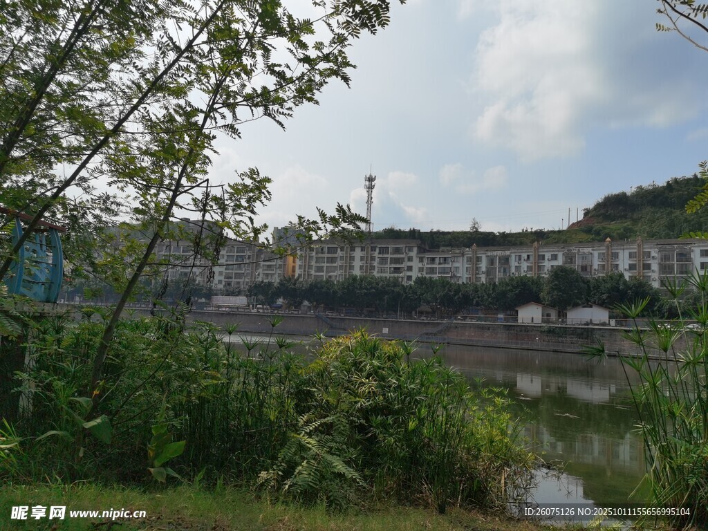 河畔風(fēng)景綠植環(huán)繞的建筑
