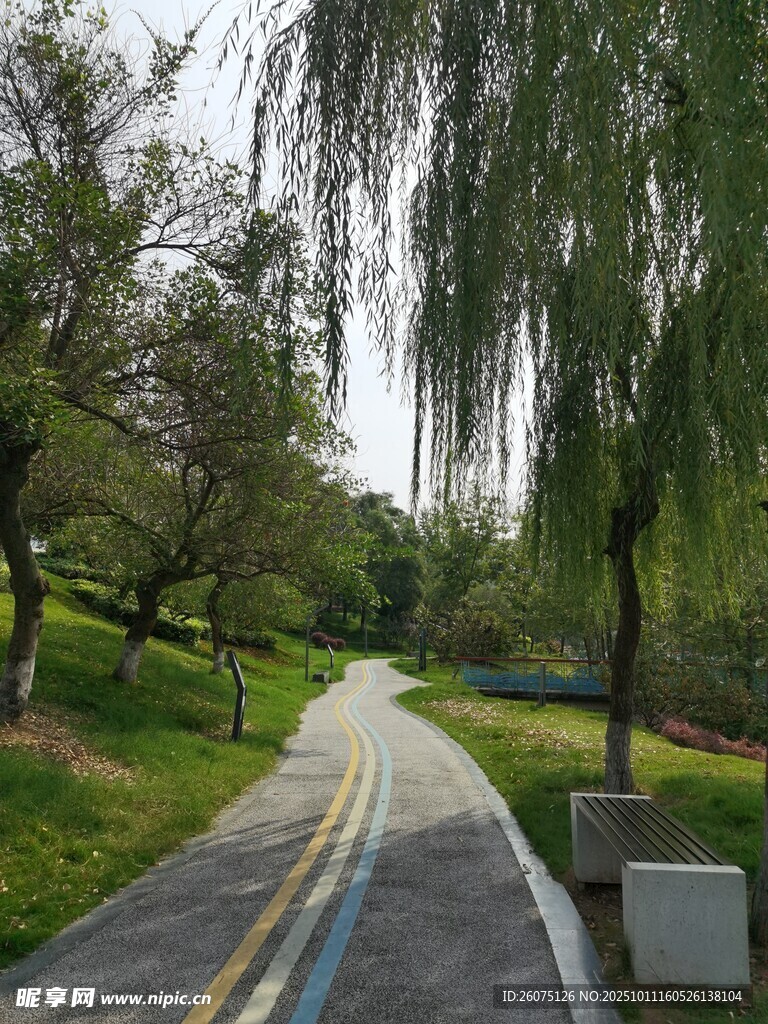 公園中的多彩林蔭小道