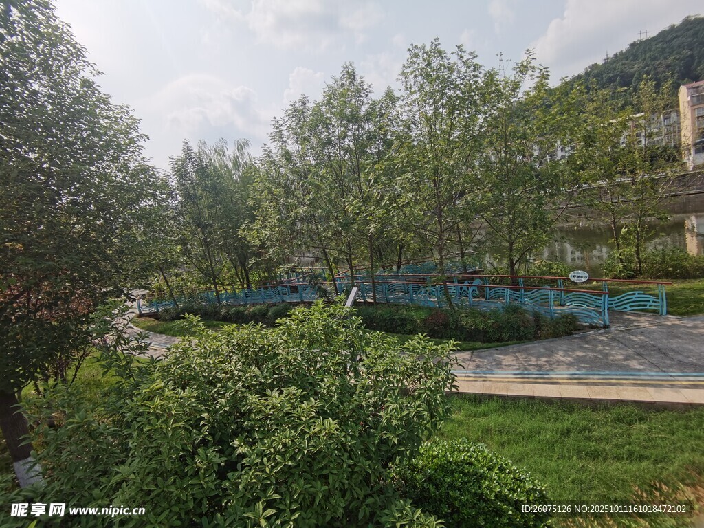 戶外綠意盎然的休閑場(chǎng)景