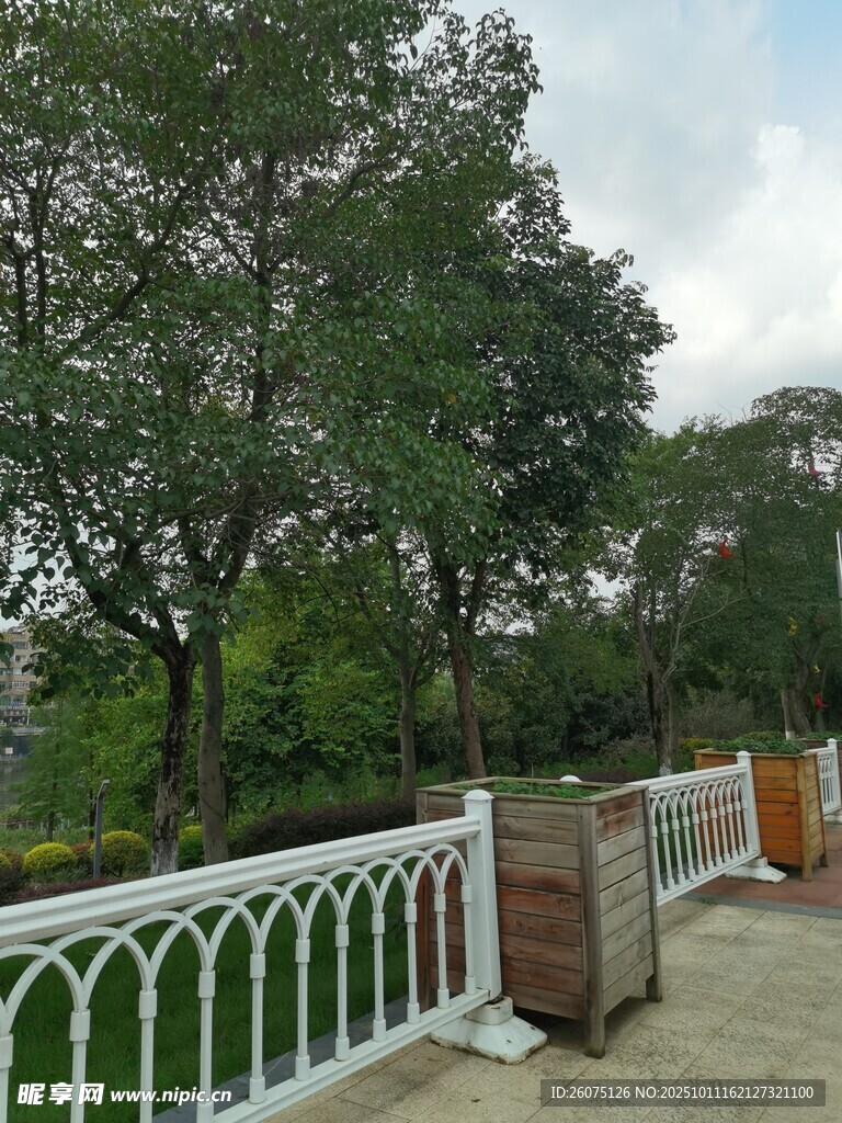 公園白色圍欄旁的綠樹風(fēng)景