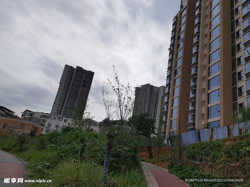 城市中的綠植與高樓景觀