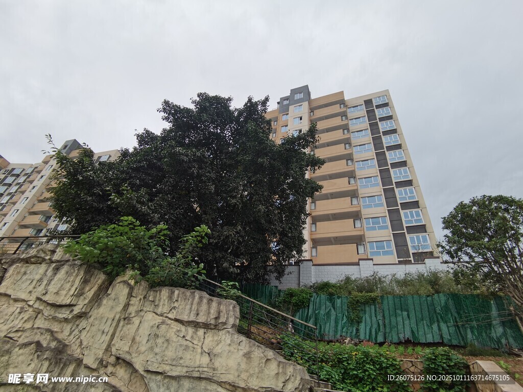 城市中的高樓與綠植景觀