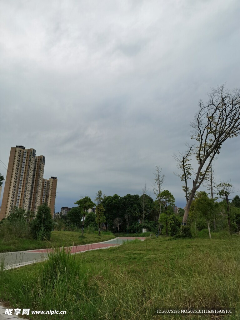 城郊草地旁的高樓景觀