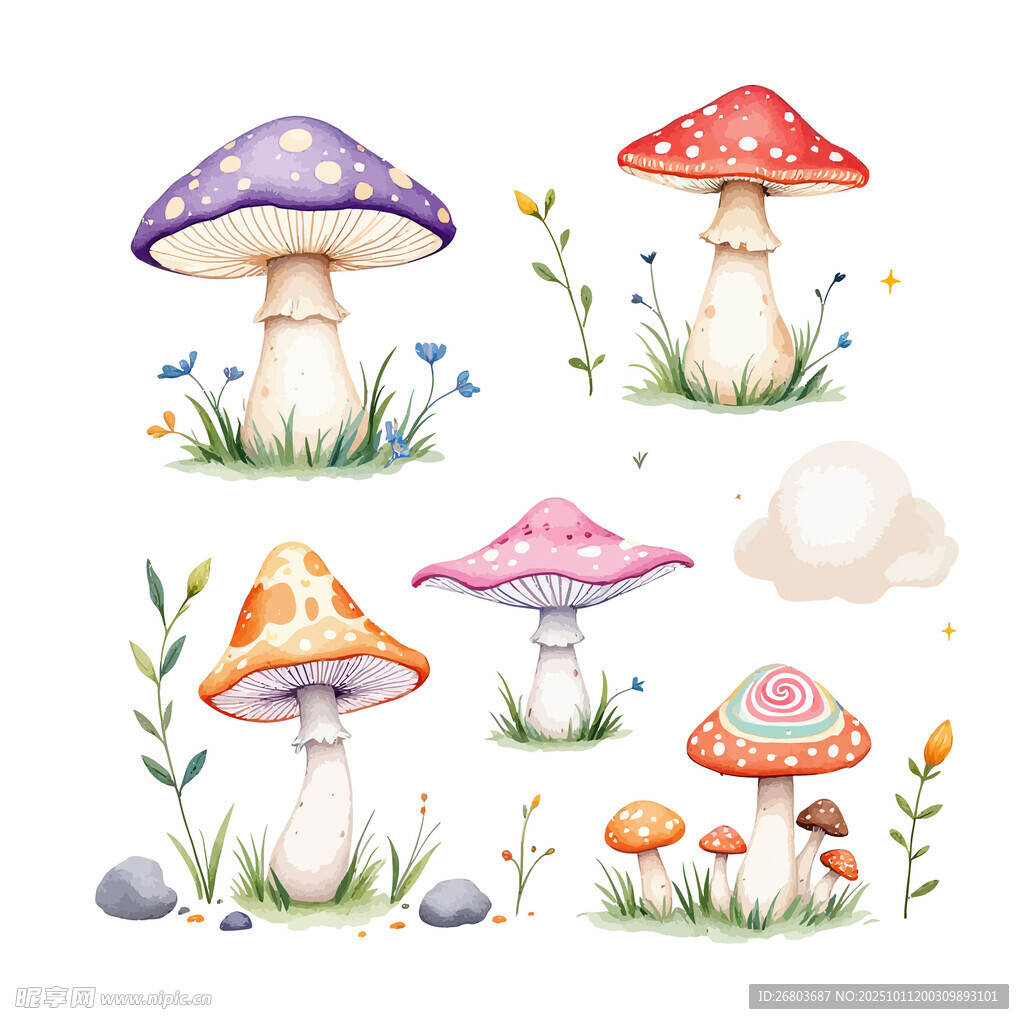 水彩蘑菇插畫