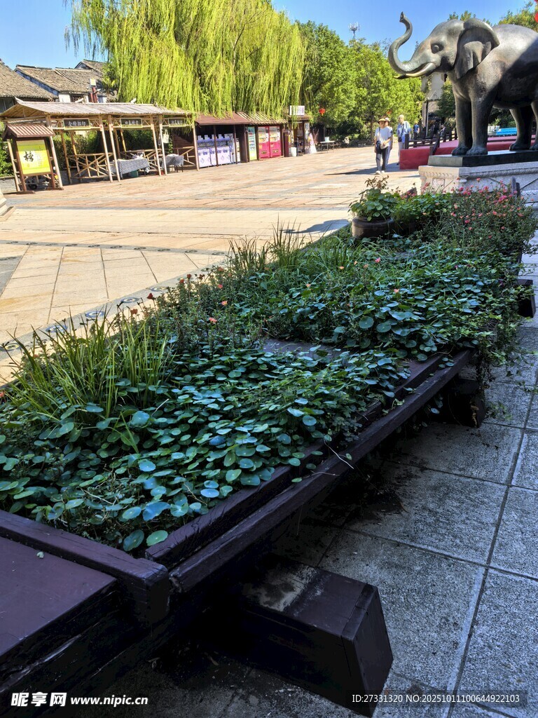 街道邊綠植景觀