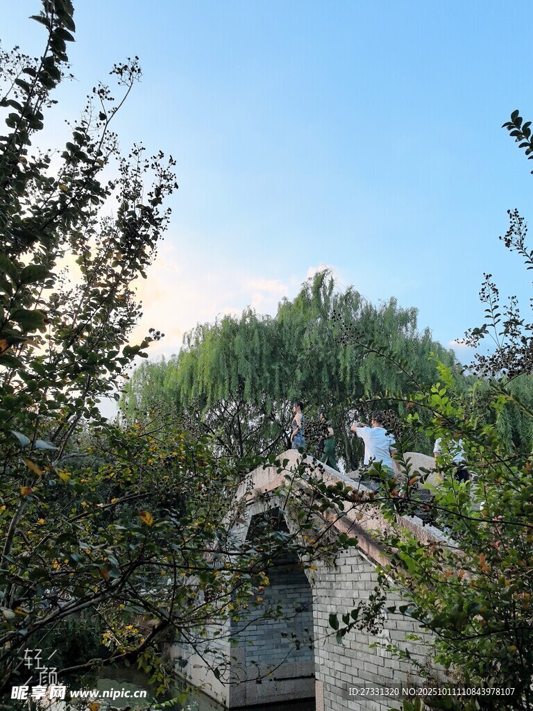 林間小屋與悠閑貓咪