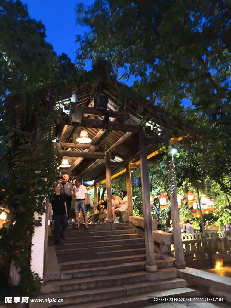 夜晚林間的溫馨休閑場所