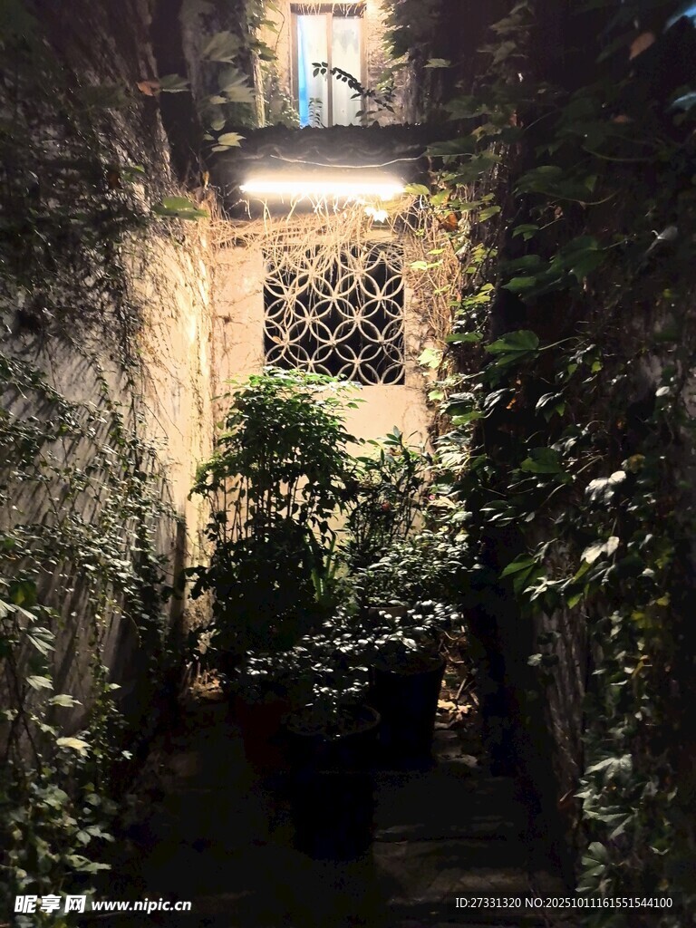 幽謐小巷中的綠植景致