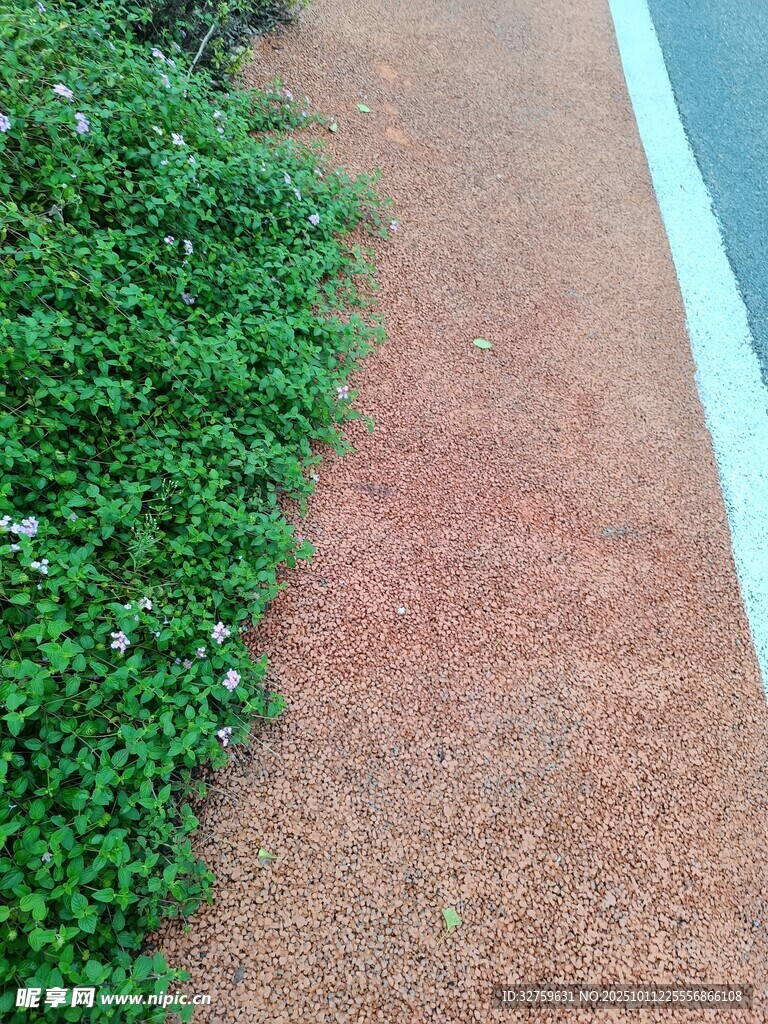 路邊綠植與紅色步道