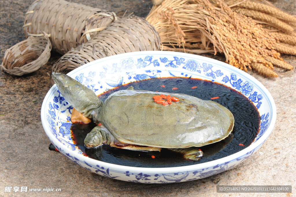 碗中甲魚待烹飪