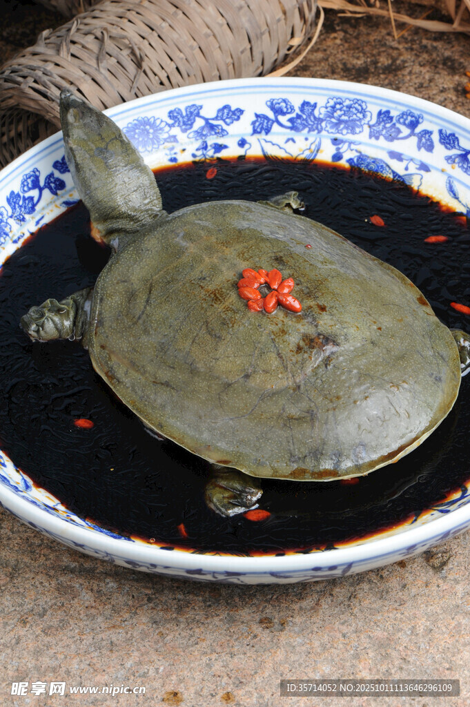 藍(lán)白瓷盤(pán)里的甲魚(yú)與小魚(yú)