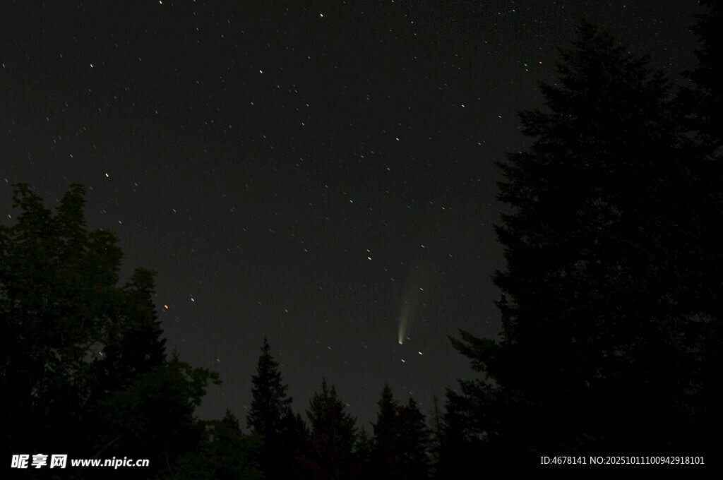 夜空下的樹木與流星