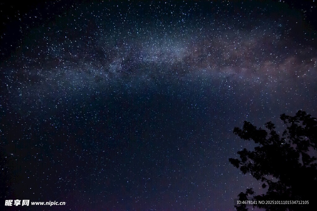 夜空繁星下的樹木剪影