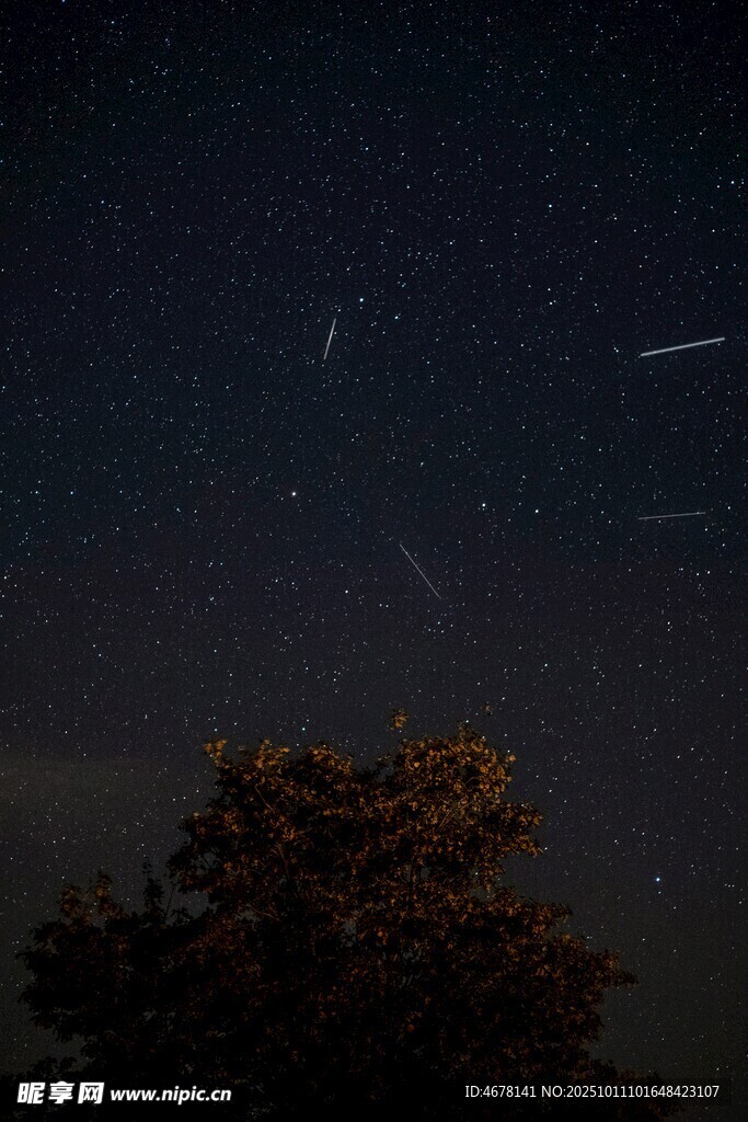 夜空下的樹(shù)與流星軌跡
