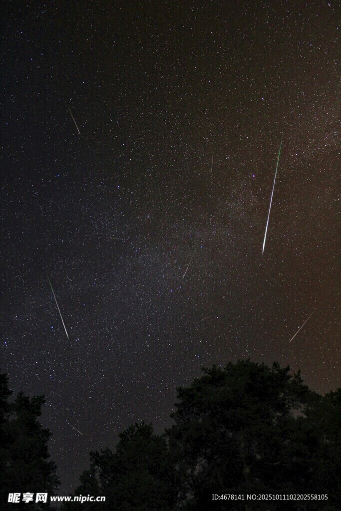 夜空中的流星劃過(guò)樹(shù)梢