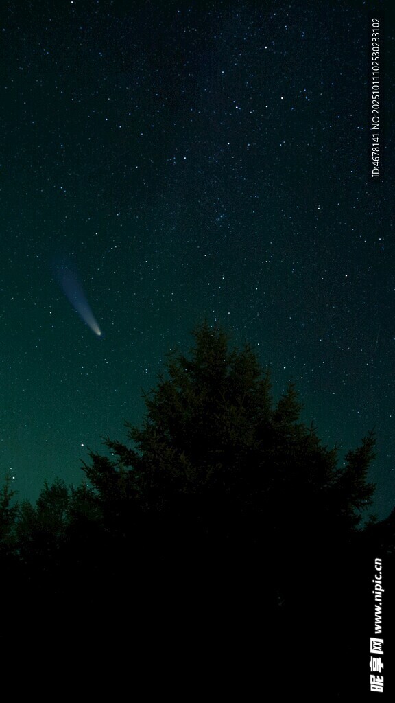 夜空流星劃過樹梢