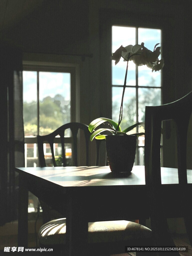 溫馨室內(nèi)窗邊桌椅綠植場景