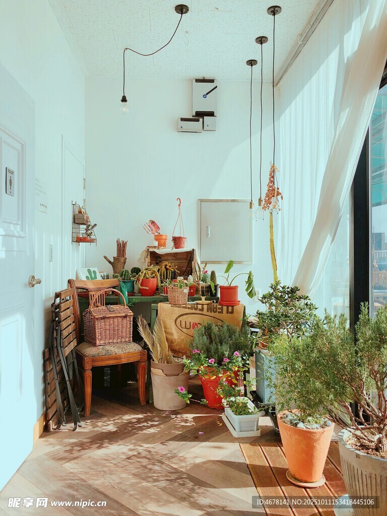 溫馨室內(nèi)綠植裝點(diǎn)小角落
