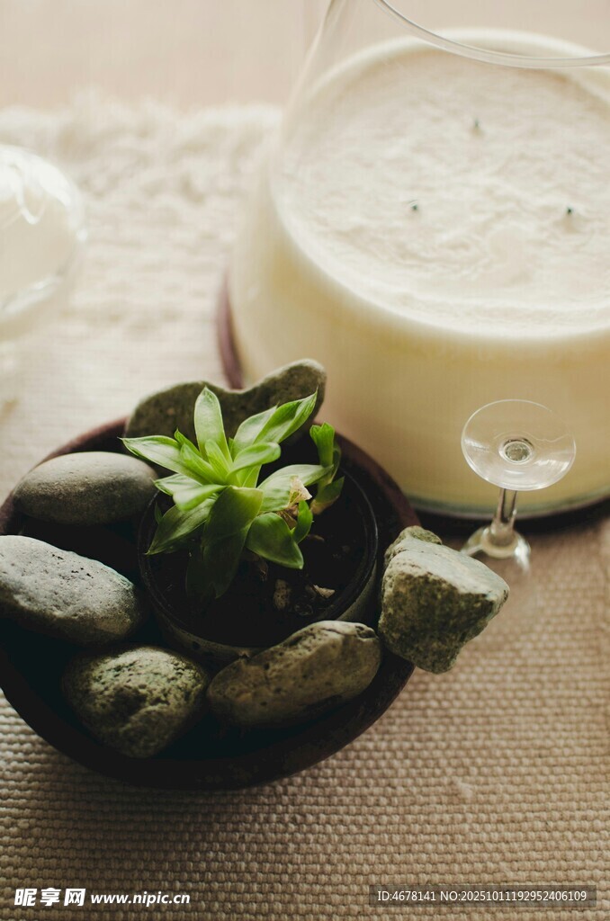 綠植盆栽與溫潤飲品