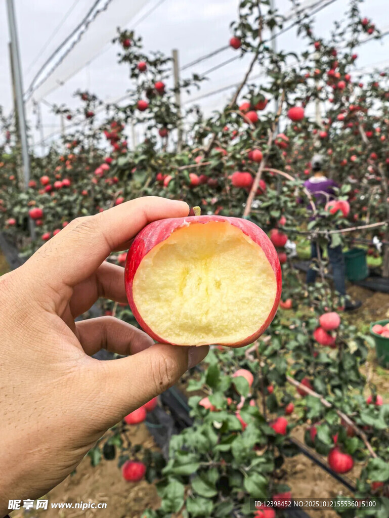手捧咬過的新鮮紅蘋果