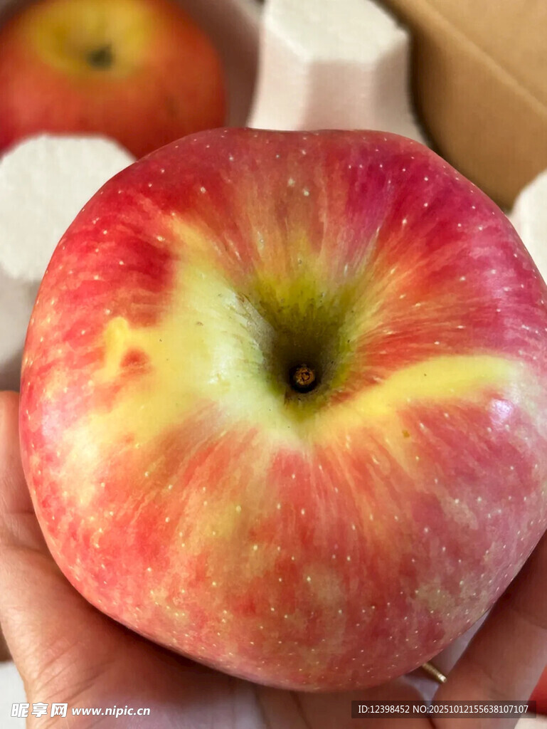 手捧鮮艷多汁大蘋(píng)果
