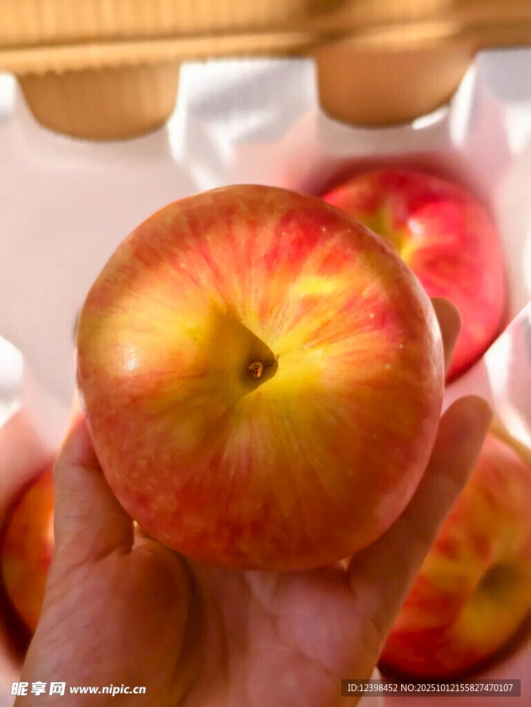 手捧色澤誘人的新鮮蘋果