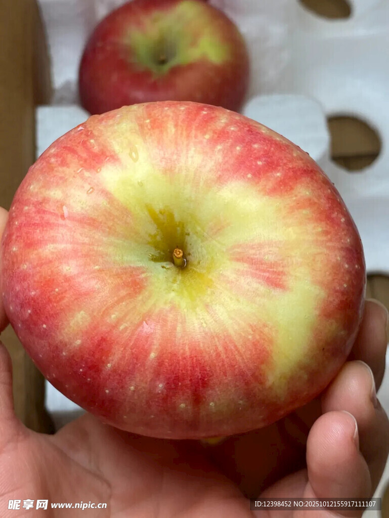 手捧鮮艷多汁的紅蘋果
